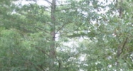 2205 9th Street Mandeville, LA 70471 - Image 14444443