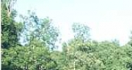 3261 Alabama River Parkway Montgomery, AL 36110 - Image 14448285