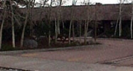 710-770 WOOTEN RD Colorado Springs, CO 80915 - Image 14448471