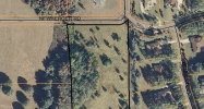 0 NEWBERGER RD Lutz, FL 33549 - Image 14448823