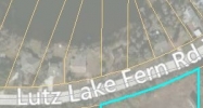 N. Dale Mabry Hwy. & Lutz Lake Fern Rd. Lutz, FL 33548 - Image 14448896