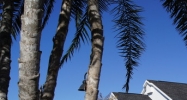 2130 Alternate 19 Palm Harbor, FL 34684 - Image 14448967
