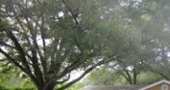 2207 Sunset Ln Lutz, FL 33549 - Image 14448908