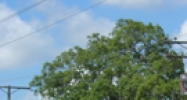 751 ALT. 19 Palm Harbor, FL 34683 - Image 14449037