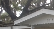 1018 Nebraska Avenue Palm Harbor, FL 34683 - Image 14449054