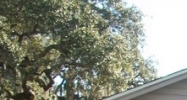 1316 &1318 Alt 19 Palm Harbor, FL 34683 - Image 14449061