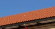 34824 U.S. Highway 19 N. Palm Harbor, FL 34684 - Image 14449011