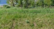 4966 PERRYVILLE RD N Loves Park, IL 61111 - Image 14449402