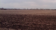 Rt 12 Road Manteno, IL 60950 - Image 14450134