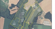 6780 Dion Road Federalsburg, MD 21632 - Image 14450567