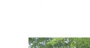 9000 Executive Park Drive Knoxville, TN 37923 - Image 14450803