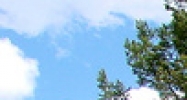 4445 Hagerman Rd Cascade, CO 80809 - Image 14453618