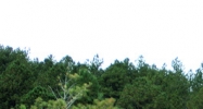 18805 Cloven Hoof Road Palmer Lake, CO 80133 - Image 14455238