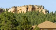 443 Highway 105 Palmer Lake, CO 80133 - Image 14455245