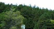 18805 Cloven Hoof Road Palmer Lake, CO 80133 - Image 14455247