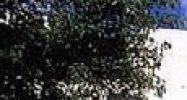 12 Route 17 North Paramus, NJ 07652 - Image 14455331