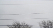 7401 New York Ave. Arlington, TX 76002 - Image 14455510