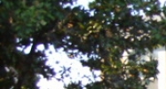 3435 Rosedale Houston, TX 77004 - Image 14455546