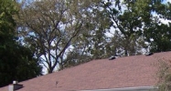 3564 17th Street Sarasota, FL 34235 - Image 14457790