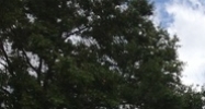 5111 Memorial Hwy Tampa, FL 33611 - Image 14457888
