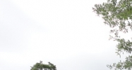 8900 N Armenia Ave Tampa, FL 33604 - Image 14457858