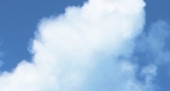 FL Tampa, FL 33601 - Image 14457815