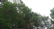 7701 N Nebraska Ave Tampa, FL 33604 - Image 14457860