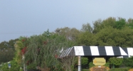4213 S Manhattan Ave Tampa, FL 33611 - Image 14457897