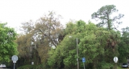 8224 Jackson Springs Road Tampa, FL 33615 - Image 14457960