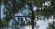 7500 W. Hillsborough Avenue Tampa, FL 33615 - Image 14457959