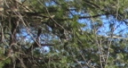 4 Harvest Dr Brunswick, ME 04011 - Image 14458055