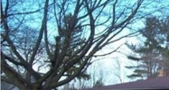 3186 Mac Ave Flint, MI 48506 - Image 14458148