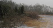 Blanton Dr Sevierville, TN 37862 - Image 14461384