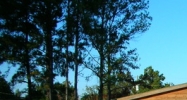 2994 Co Rd 4 Fitzpatrick, AL 36029 - Image 14465018