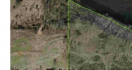 Off Co Rd 222 Crane Hill, AL 35053 - Image 14465000