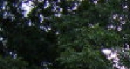 3528 Highway 134 Midland City, AL 36350 - Image 14465039