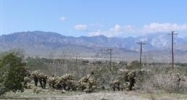 50 ac Driscoll Ave/Dillon Rd, Sky Valley Desert Hot Springs, CA 92241 - Image 14465163