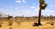 1377 Balsa Ave. Yucca Valley, CA 92284 - Image 14465201