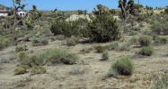 O Grande Ave Yucca Valley, CA 92284 - Image 14465204