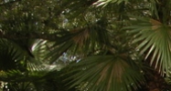2620 Reynolds Road Lakeland, FL 33801 - Image 14468297