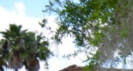 832 South Florida Ave Lakeland, FL 33801 - Image 14468305