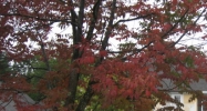 360 Route 101 Bedford, NH 03110 - Image 14470176