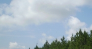 0 Dale Road Long Beach, MS 39560 - Image 14470138