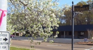 100 N Bierdeman Road Pearl, MS 39208 - Image 14470161