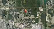 NW CORNER OF PINE & FOREST RD Oldsmar, FL 34677 - Image 14471760