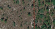 13270   Taft St St Brooksville, FL 34613 - Image 14473762