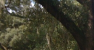 1308 College St Gulfport, MS 39507 - Image 14474693