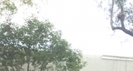 1211 Tech Blvd. Tampa, FL 33619 - Image 14475399
