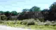 7411 N Taylor Rd Seffner, FL 33584 - Image 14475332