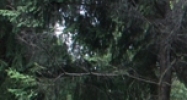 1 Martin Stream Rd Turner, ME 04282 - Image 14475404